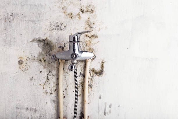 Best Mold Inspection  in Richmond, KY
