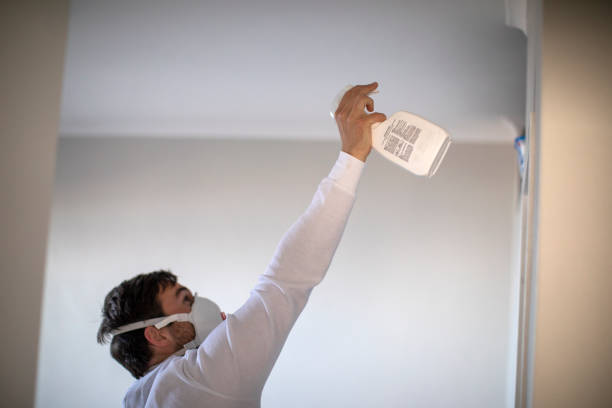 Best Commercial Mold Removal  in Richmond, KY
